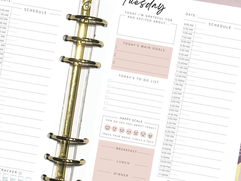 May include: A pink and white daily planner with a gold binder. The planner has sections for scheduling, to-do lists, and goal setting. It also includes a mood tracker with a happy scale.