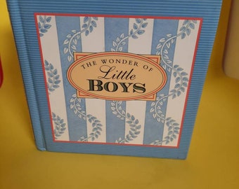 The wonder of little Boys hard back edition by Phyllis Hobe