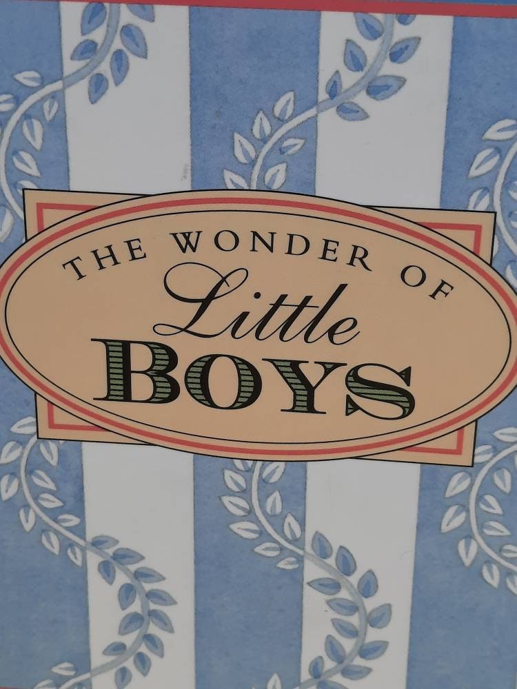 The Wonder of Little Boys Hard Back Edition by Phyllis Hobe Etsy