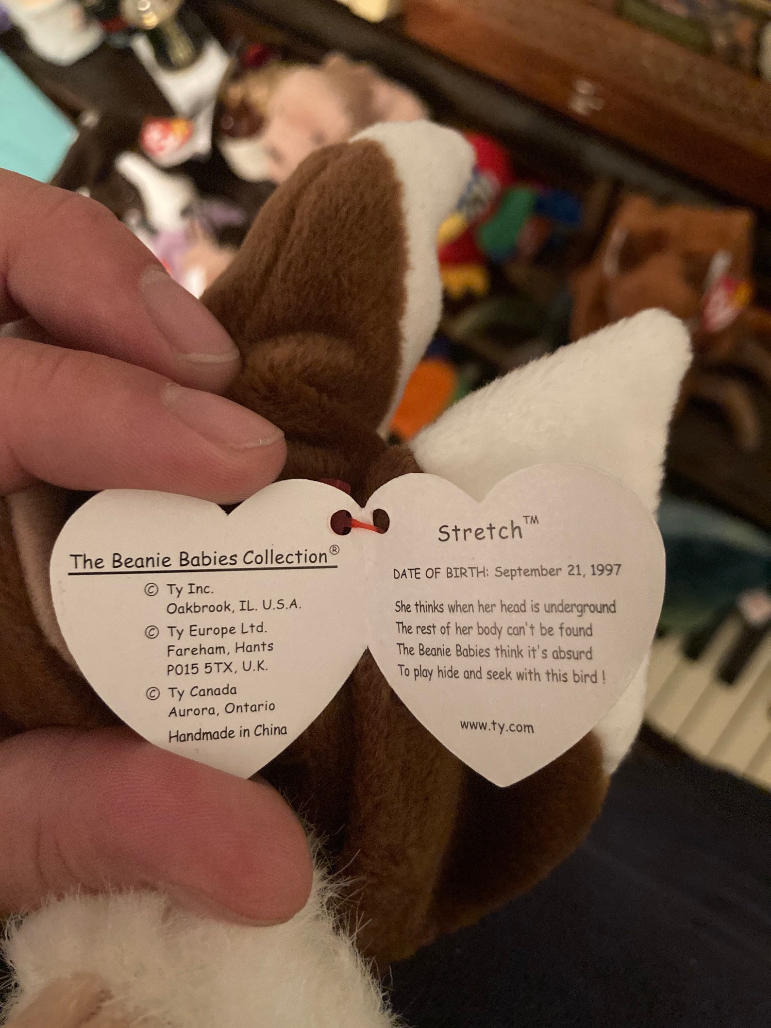 Stretch Beanie Baby Rare Mint tag errors Etsy