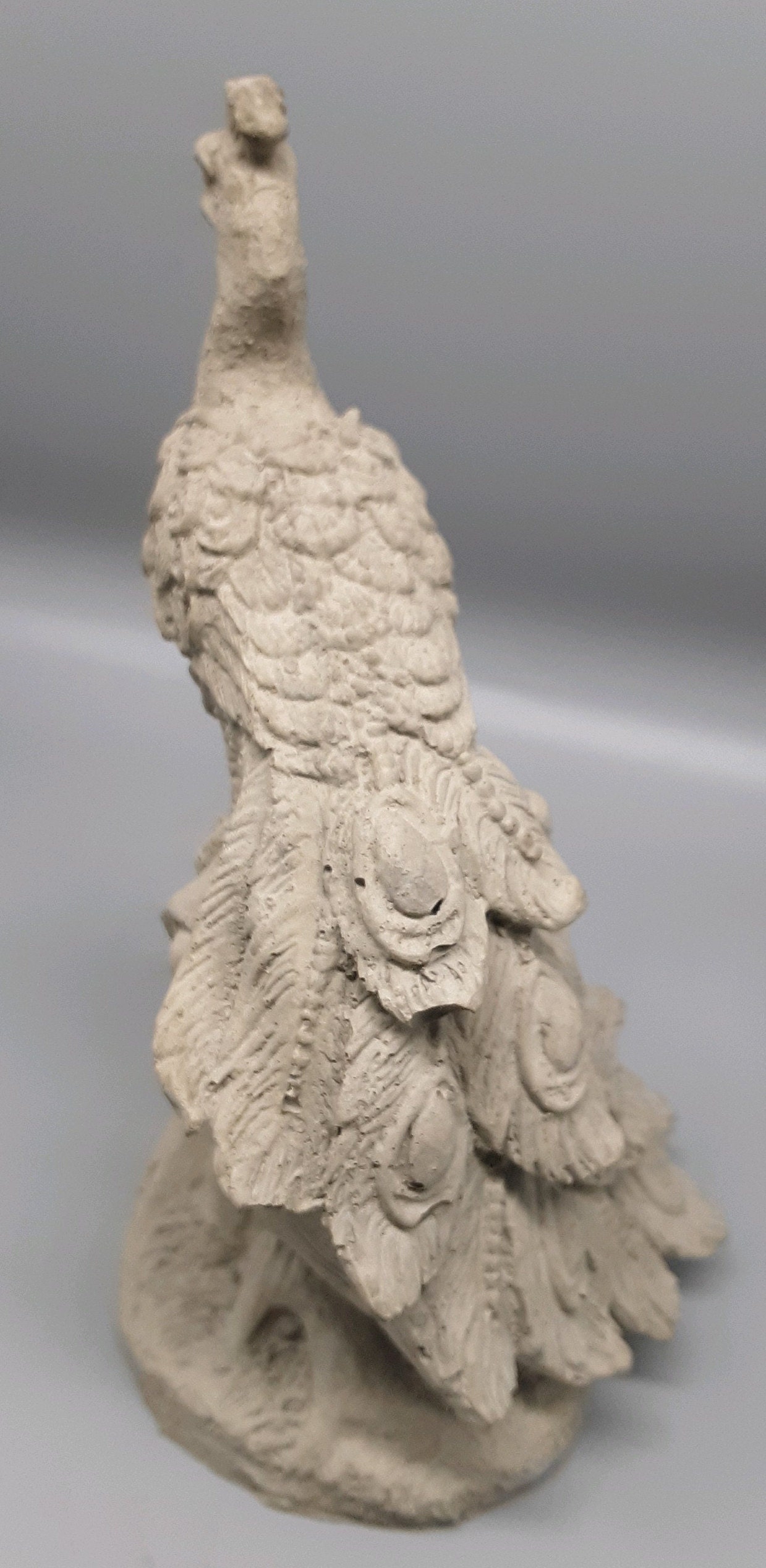 Peacock Small Concrete Statue, Peacock, Statue, Peacock Statue, Bird Etsy