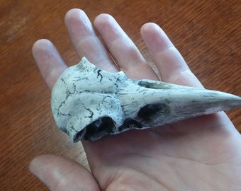 Crow Skull Resin Statue, Resin Statue, Home Decor, Crows