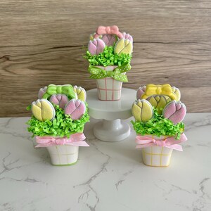 Spring Tulip Mini Baskets