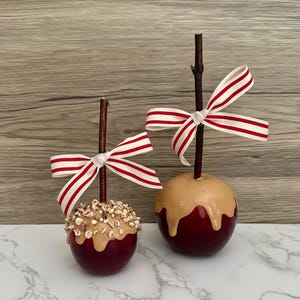 May include: Two decorative caramel apples with red and brown colors. Each apple has a wooden stick and a red and white striped bow. One apple is covered in nuts.