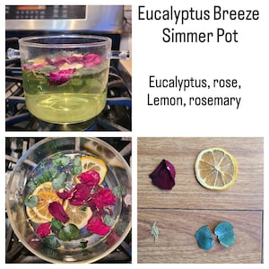 May include: A glass pot with a handle, filled with water and ingredients for a simmer pot. The ingredients include eucalyptus leaves, rose petals, lemon slices, and rosemary sprigs. The pot is on a stovetop burner. The text "Eucalyptus Breeze Simmer Pot" and "Eucalyptus, rose, lemon, rosemary" is written on a white background.