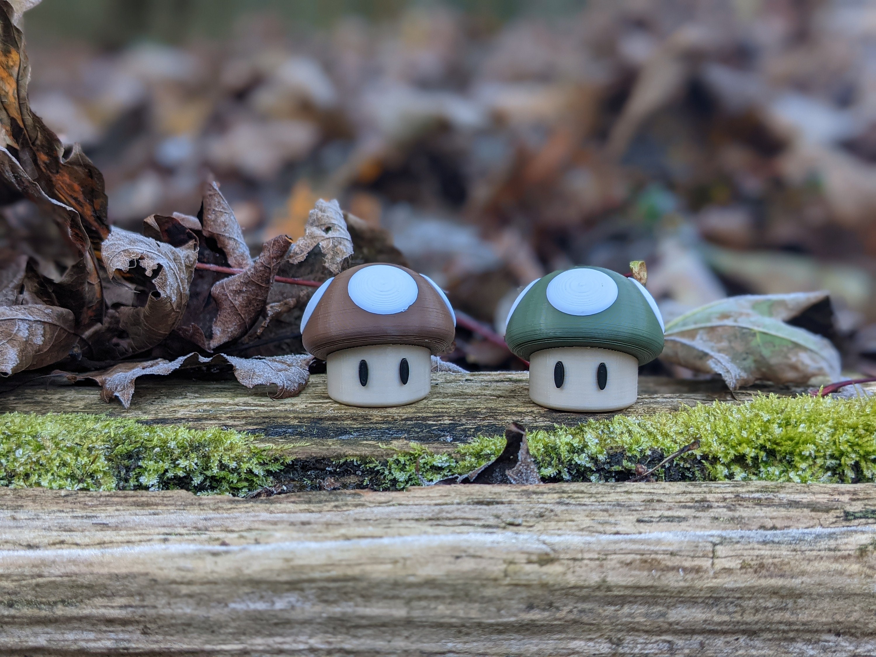 Pièce Geocaching Super Mario 2006 – EXTRÊMEMENT RARE – Oakcoins Activation Inconnue