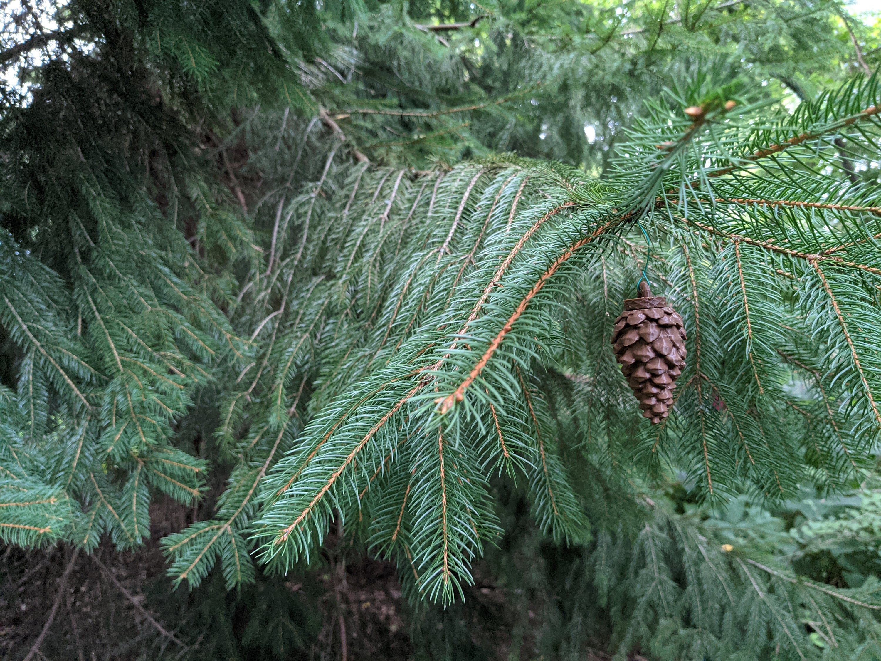 BORSE LATERALI IMPERMEABILE Per BMW R NineT Scrambler Bagtecs WP8 EUR - Foto 3