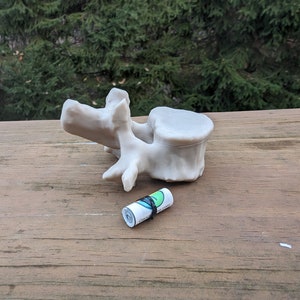 May include: A 3D printed model of a human vertebra, painted white, on a wooden surface. A small roll of paper with a green and blue design is in front of the vertebra.