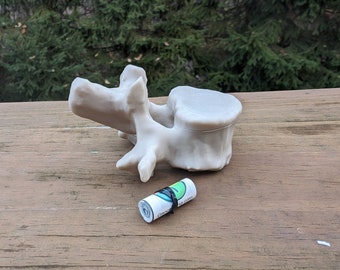 Vertebra Geocache Container Ready to Hide Waterproof Log