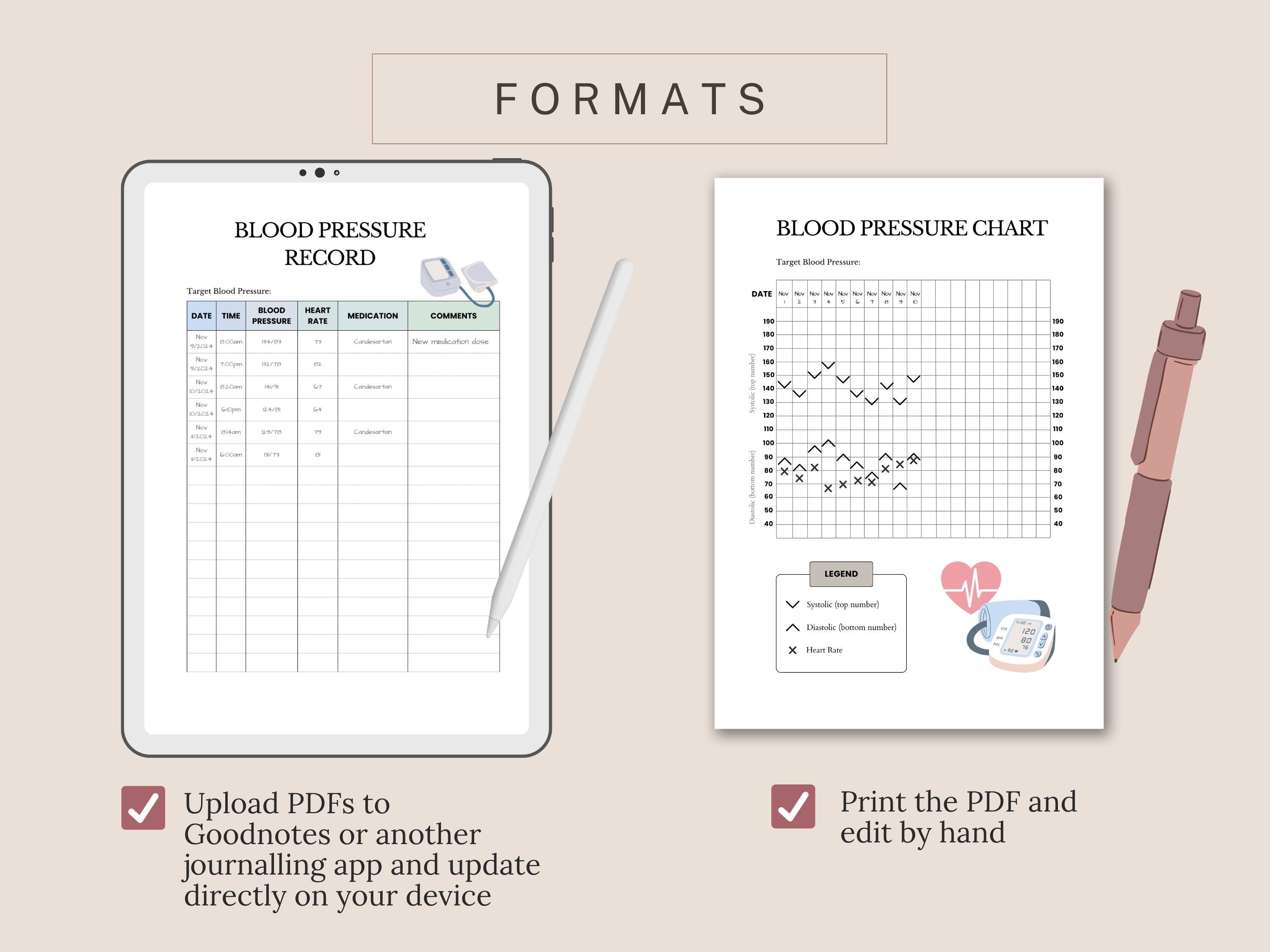 Blood Pressure Log Printable PDF — Daily BP Tracker & Chart, Medical ...