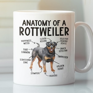 Anatomie van een Rottweiler-mok, grappige Rottweiler-cadeaus, Rottweiler-liefhebber koffiekopje, schattige cartoon sarcastische meme grafisch cadeau voor papa moeder