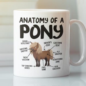 May include: White ceramic coffee mug with a brown pony illustration and the text "Anatomy of a Pony". The pony is labeled with humorous anatomical terms like "Spook Detectors", "Greeting Sniffer", "Treat Vacuum", "Tap Dancing Shoes", "Fuel Tank", "Driver's Seat", "Ejection Seat", "Fly Swatter", "Scratching Zone", and "Kick Executor".