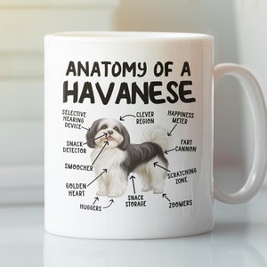 Anatomie van een Havanezer mok, grappige Havanezer cadeaus, Havanezer hondenliefhebber koffiekopje, schattige cartoon verjaardagscadeau voor vader moeder eigenaar fokker