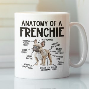 Anatomie eines Frenchie Becher, lustige Geschenke der französischen Bulldogge, Kaffeetasse des Stierhund-Liebhabers, niedliches Cartoon sarkastisches Meme Grafikgeschenk für Vati-Mama