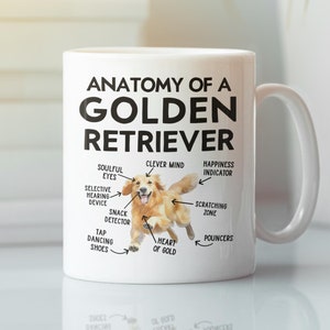Anatomia de uma caneca de Golden Retriever, presentes engraçados, xícara de café amante de Golden Retriever, lindo desenho animado sarcástico meme presente gráfico para papai e mamãe