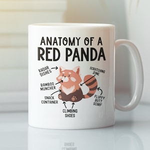 Anatomía de una taza de panda rojo, regalos divertidos de panda rojo, taza de café amante del panda rojo, cumpleaños gráfico de meme sarcástico de dibujos animados lindo para papá mamá