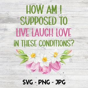 Hoe moet ik leven Laugh Love in deze omstandigheden SVG, Sarcastic Crafting File, Cricut Cutting Download File, Png Jpg Clipart