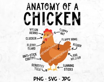May include: A humorous illustration of a chicken with various body parts labeled with funny names, such as "Vision Beans", "Floppy Hat", and "Anti-Stick Coating". The text "PNG - SVG - JPG" is at the bottom of the image.