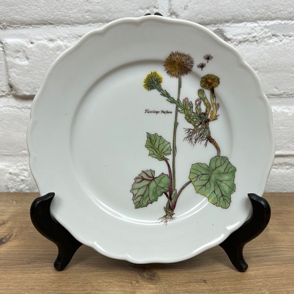 Tussilago Farfara Ceramic Plate Tirschenreuth porcelain