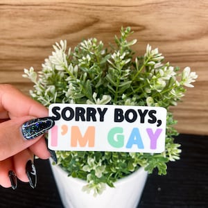 Sorry Boys I&#39;m Gay Sticker: Waterproof Vinyl LGBTQ Pride Decal