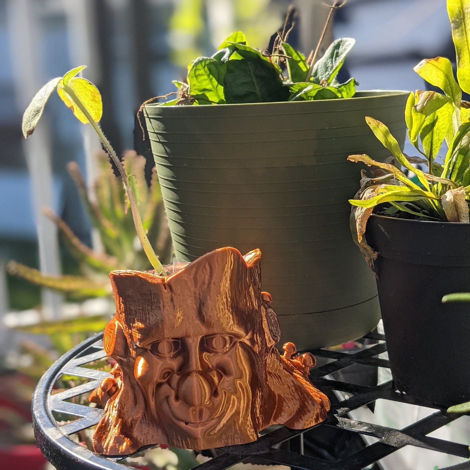 Treeguy planter sizeadjustable adorable quirky gift Etsy