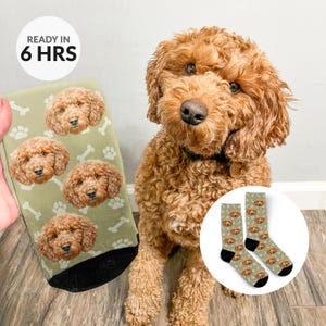 Etsy dog socks discount