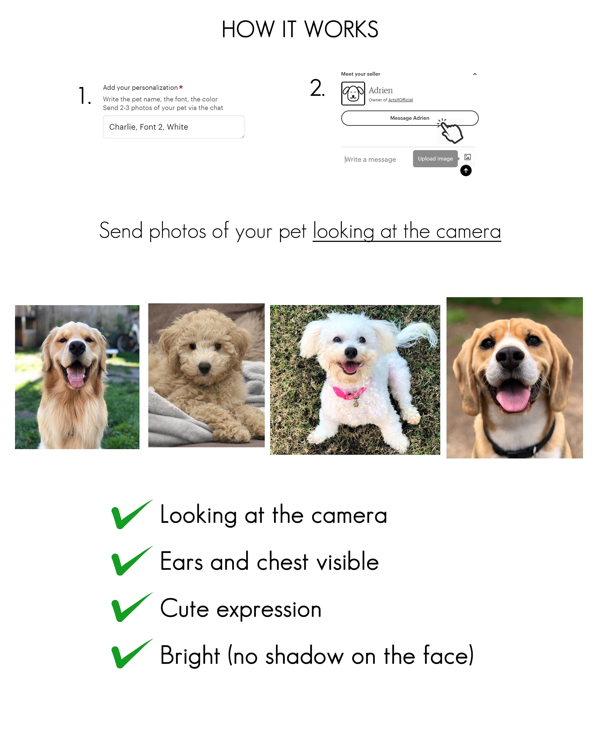 Digital Pet Portrait Custom Pet Portrait Pet Portrait From Etsy