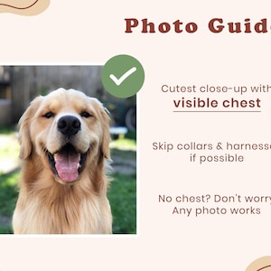 Digital Pet Portrait, Custom Pet Portrait, Pet Portrait From Photo, Dog Portrait, Custom Dog Portrait, Cat Portrait, Cat Mom Gift image 9