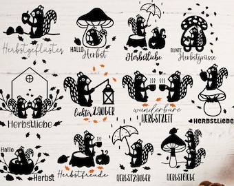 Plotterdatei Herbst Svg Png, Eichhörnchen svg, Herbst  Plotter File Svg Png, Hallo Herbst  Herbstliebe,  Cricut Brother Canvas Silhouette