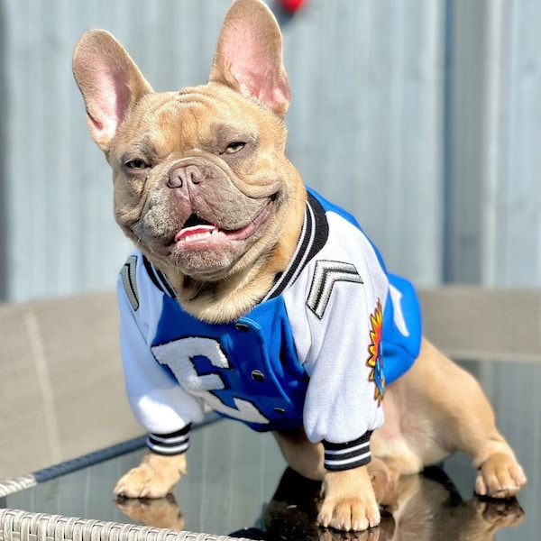 Dog Letterman Jacket
 Dog Letterman Jacket Etsy