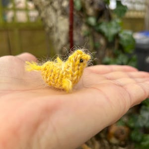 May include: A small, hand-knitted yellow chick with white accents. The chick is sitting on a person's hand.