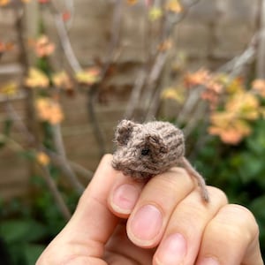 May include: A small brown knitted mouse figurine held in a person's hand. The mouse has a long tail and is made of soft yarn.