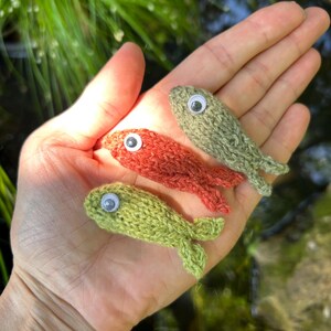May include: Three small, handmade knitted fish in shades of green and red, each with a googly eye. The fish are held in an open hand, with a blurred background of greenery and water.