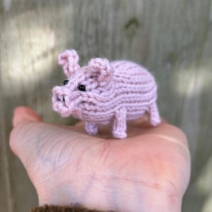 May include: A small pink knitted pig with black eyes. The pig is sitting on a person's hand.