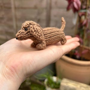 May include: A small, brown knitted dachshund toy. The toy is sitting on a person's hand.