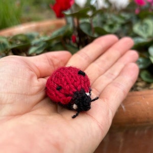 Tiny Knitted Ladybird knitting pattern, English Pattern Only