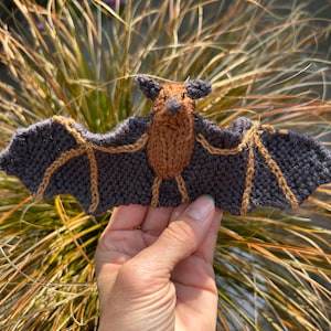 May include: A handmade knitted bat with outstretched wings. The bat's body is brown, with dark gray wings outlined in tan yarn. The bat has small ears and is held up against a background of tall, dry grass.