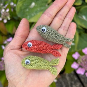 Könnte beinhalten: Drei handgestrickte Fische in Grün- und Rottönen, jeweils mit einem Wackelauge. Die Fische sind klein, haben eine strukturierte Optik und werden in einer Hand vor einem Hintergrund aus Grün und Blumen gehalten.