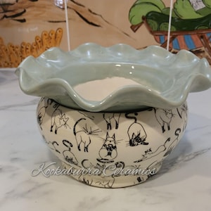 May include: A light blue ceramic planter with a ruffled top and a white base. The base is decorated with a black and white pattern of cats. The planter is filled with white potting soil.