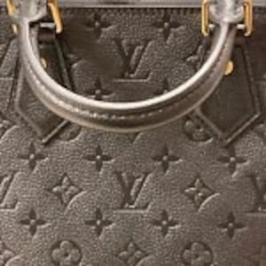 Suedette Singular Style Leather Handbag Organizer for Louis Vuitton Alma PM  and Alma MM in Dark Gray