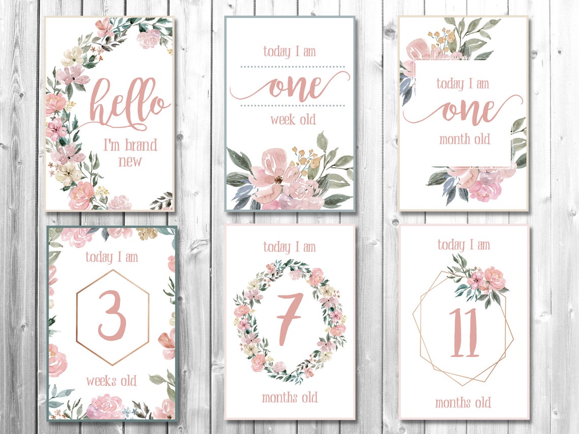 Floral Baby Milestone Cards, Printable Download - Etsy
