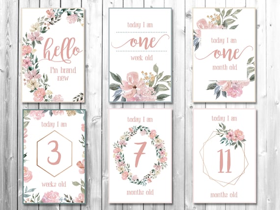 Floral Baby Milestone Cards Printable Monthly Milestone | Etsy