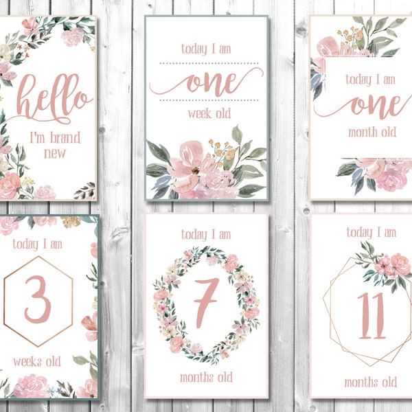 Floral Baby Milestone Cards Printable, , Monthly Milestone Cards Download