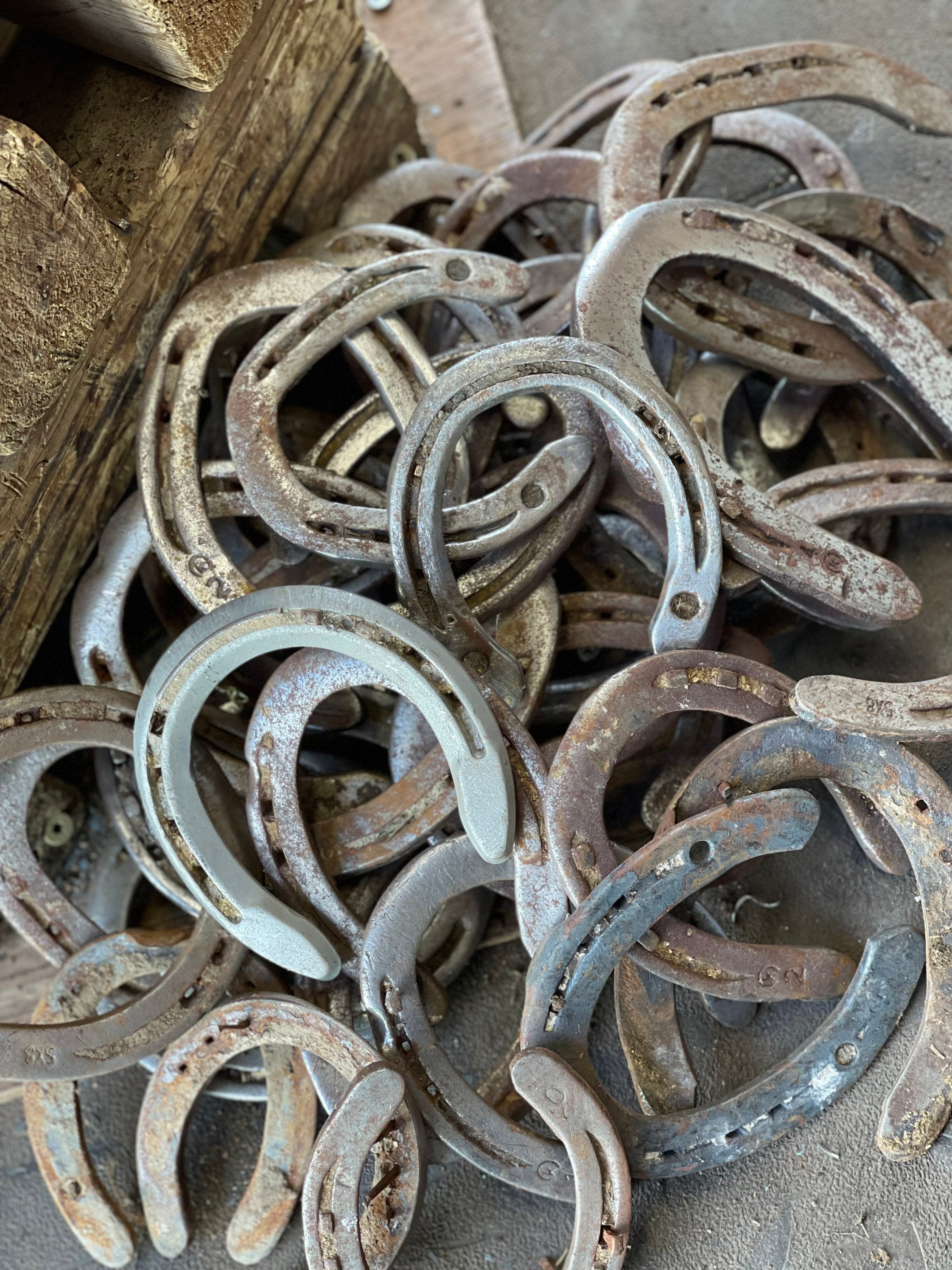 Used Horseshoes Etsy