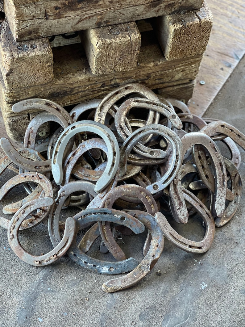 Used Horseshoes Etsy
