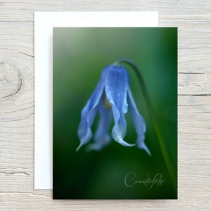 Blanko Karte...Blumen-Kunstfotografie-Clematis Blume