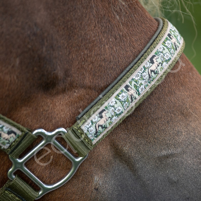 May include: Green horse halter with a white and green floral pattern featuring small horses. The halter has a silver buckle.