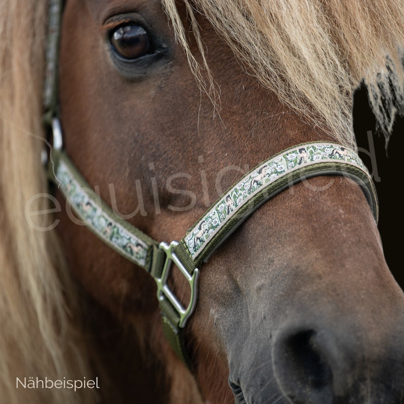 May include: Close-up of a brown horse wearing a green and white patterned halter. The halter has a silver buckle and is made of a soft, padded material.