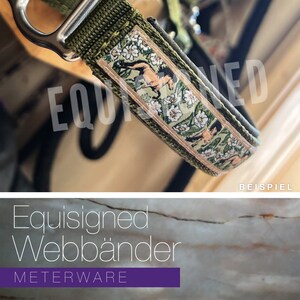 May include: Green horse halter with a floral and horse print ribbon. The ribbon has a beige background with green leaves, white flowers, and brown horses. The text "Equisigned Webbaender METERWARE" is visible below the halter.