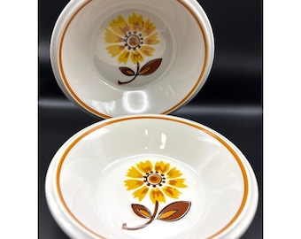 Mikasa Light & Lively STARFIRE #D5252 Daisy Floral Coupé Müslischalen 2er Set